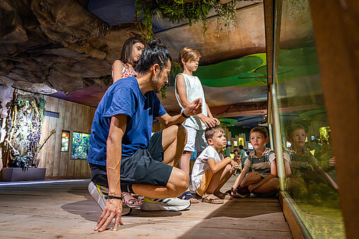 Enfants aquarium