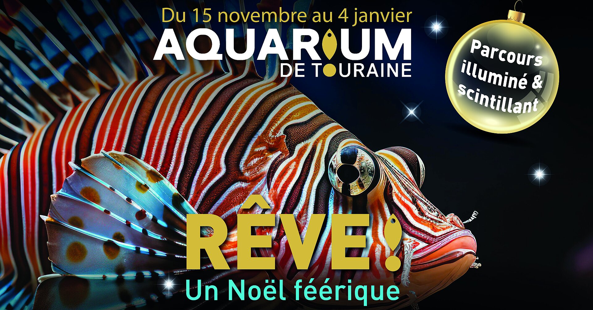 Visuel aquarium noel