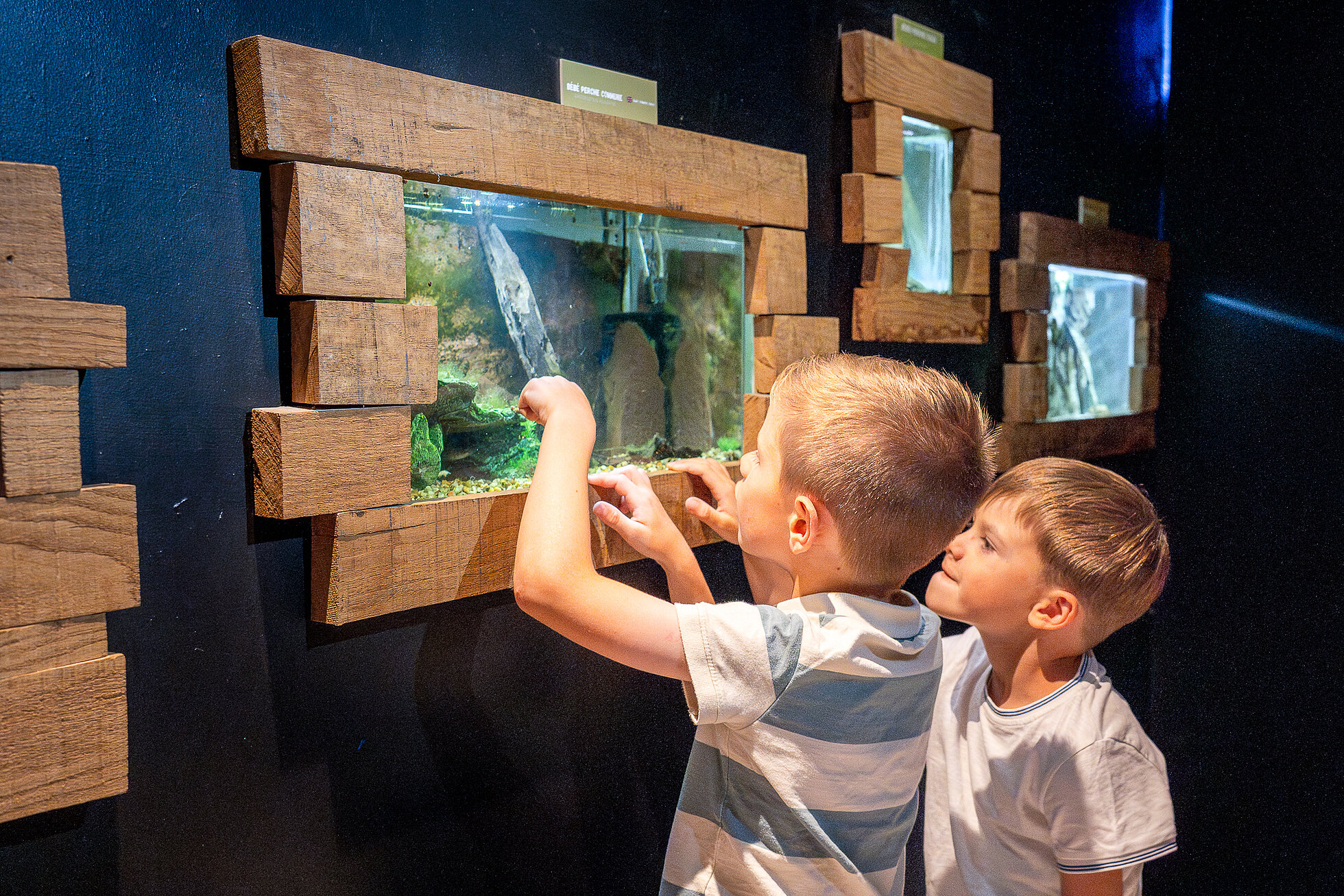 Visuel aquarium