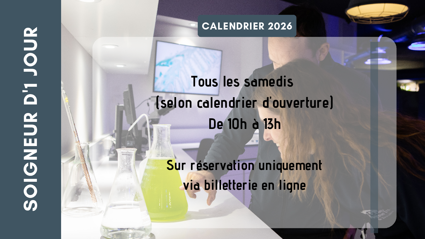 Soigneur d'un jour aquarium