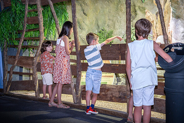 Enfants aquarium