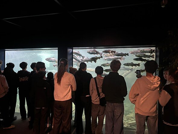 Visite guidée aquarium