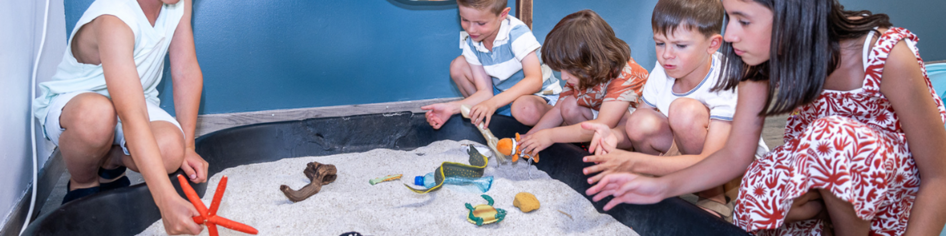 Scolaires et centres de loisirs 