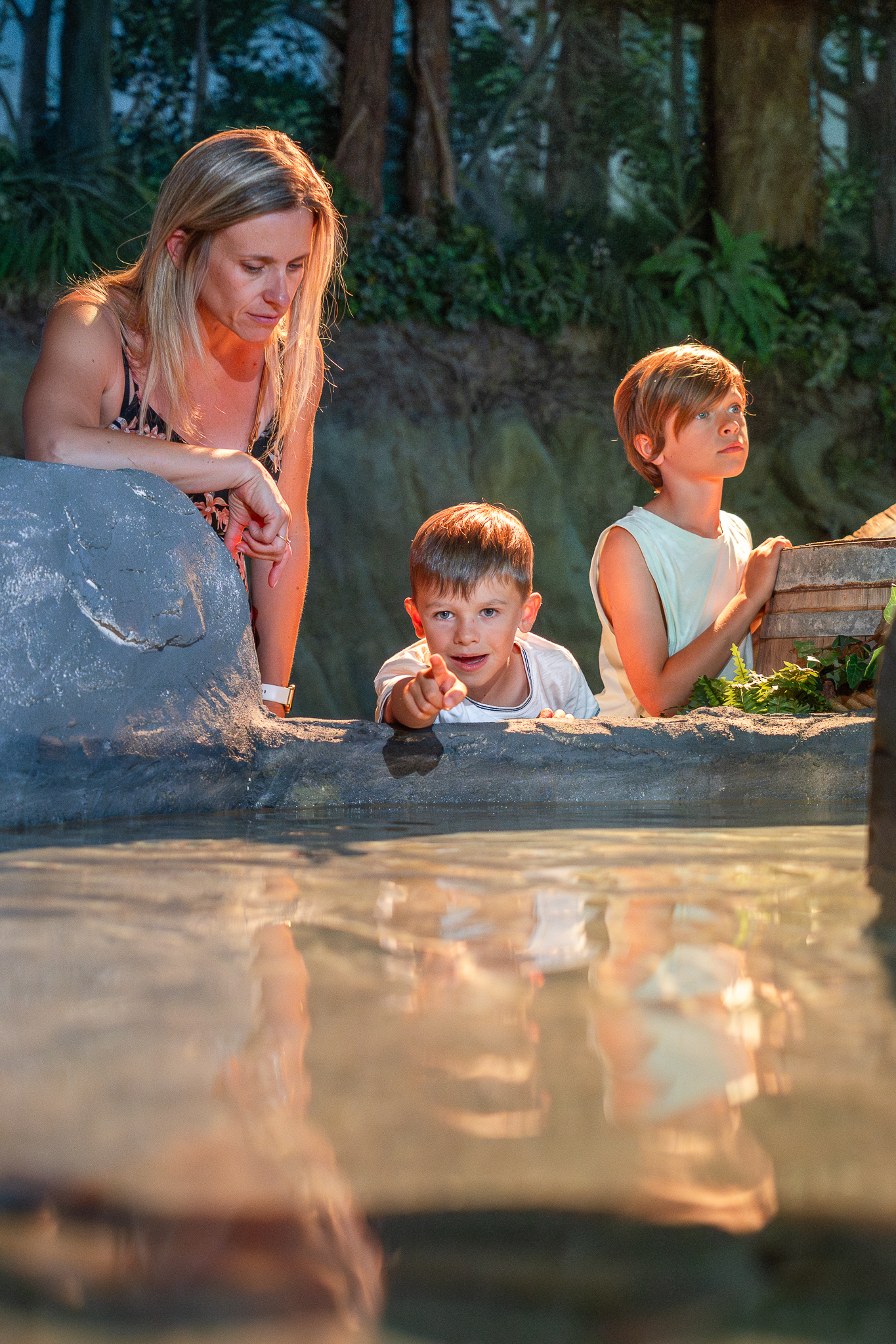 Famille aquarium